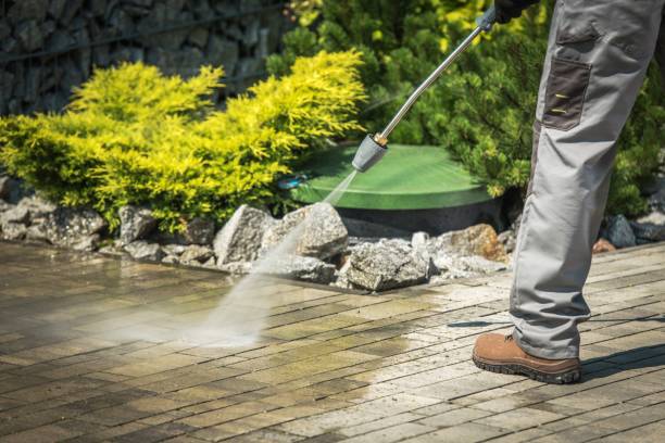 Best Fence Cleaning  in Alexandria, LA